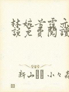 林婉兮霍亦铭小说免费阅读