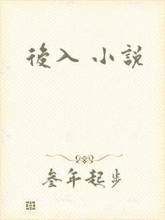 后入 小说