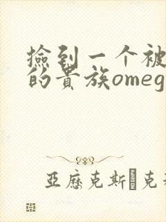 捡到一个被抹布的贵族omega
