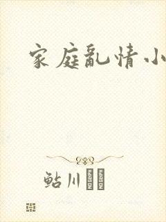 家庭乱情小说封面