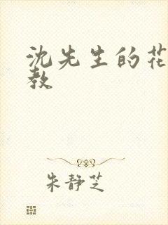 沈先生的花式调教