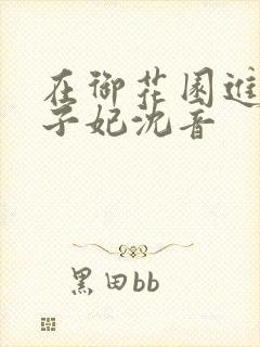 在御花园进入太子妃沈音