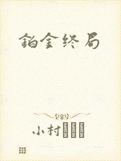 铂金终局