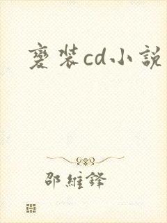 变装cd小说