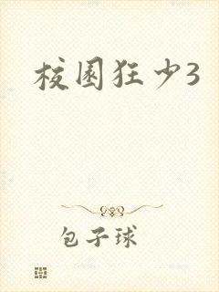 校园狂少3
