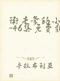 卫老爹的小船1-46集免费观看