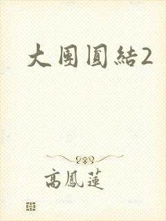 大团圆结2封面
