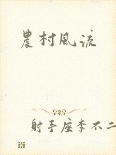 农村风流