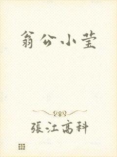翁公小莹