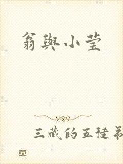 翁与小莹封面