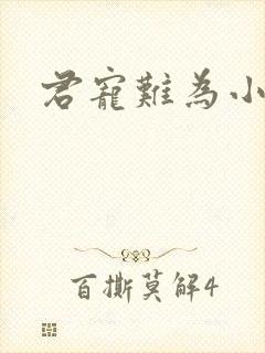 君宠难为小说