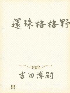 还珠格格野传