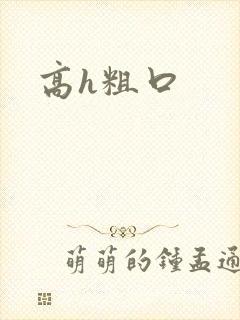 高h粗口