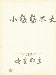 小憨憨不太二封面