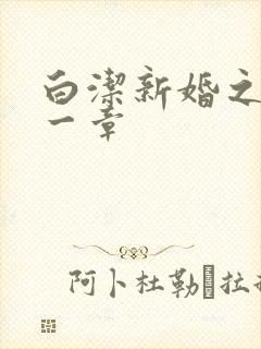 白洁新婚之夜第一章封面