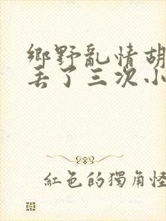 乡野乱情胡秀英丢了三次小说