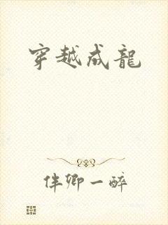 穿越成龙