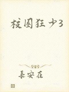 校园狂少3封面