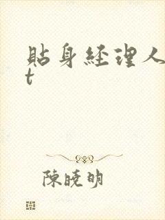 贴身经理人txt