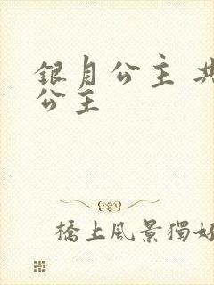 银月公主 共享公主
