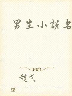 男生小说名字封面