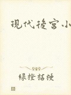 现代后宫小说