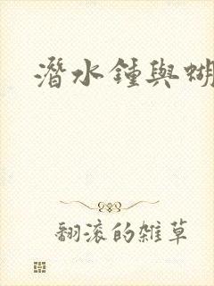 潜水钟与蝴蝶
