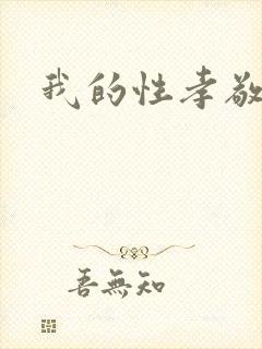 我的性孝敬封面