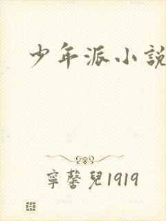 少年派小说