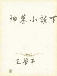 神墓小说下载封面