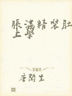 胀满精装肚子去上学封面