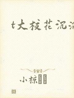 t大校花沉沦