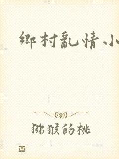 乡村乱情小说