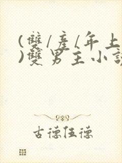 (双/产/年上)双男主小说