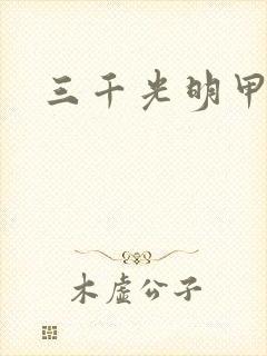 三千光明甲
