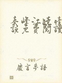 秦峰江晓晴的小说免费阅读
