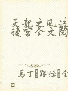 天龙之风流猎艳后宫全文阅读