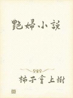 艳妇小说