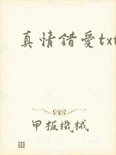 真情错爱txt