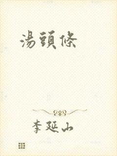 汤头条