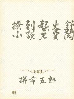 撩到起火舒漾的小说免费阅读全文