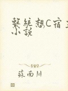 系统想C宿主的小说