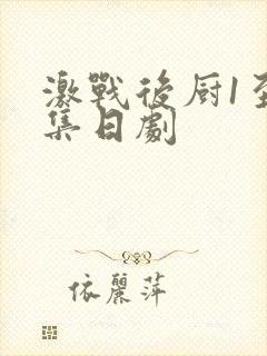 激战后厨1至5集日剧封面