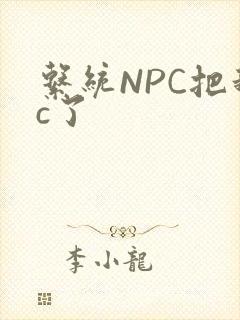 系统NPC把我c了