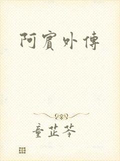 阿宾外传封面
