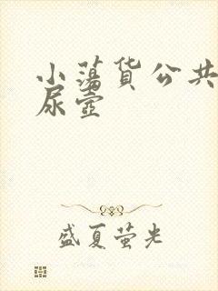 小荡货公共精厕尿壶