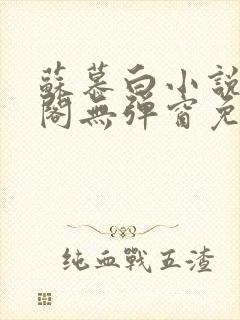 苏慕白小说笔趣阁无弹窗免费阅读