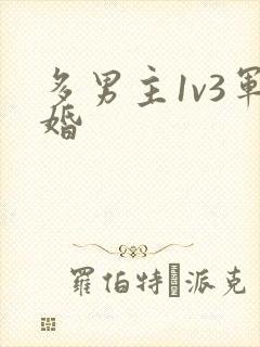 多男主1v3军婚
