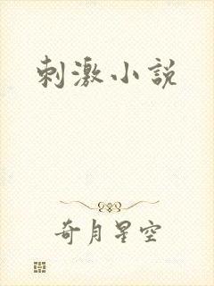 刺激小说