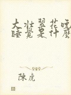 大壮翠花晚上不睡觉是什么电视剧